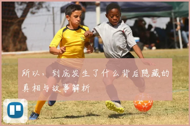 所以，到底发生了什么背后隐藏的真相与故事解析