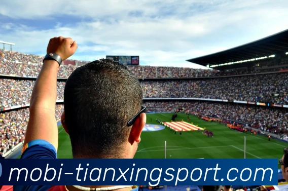 多媒体互动体验